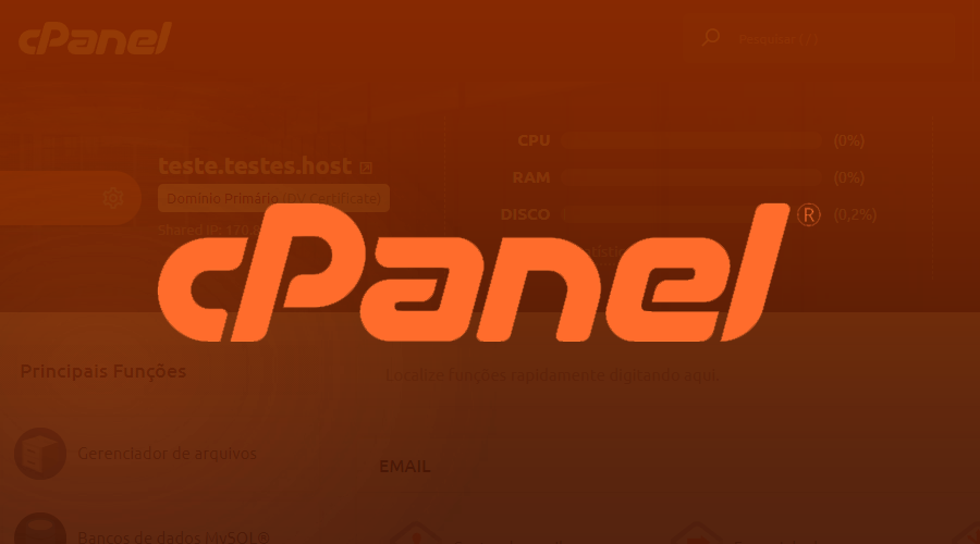 DNS cPanel