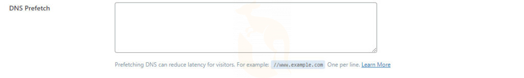 dns prefetch