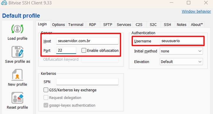 Servidor e porta no Bitvise terminal SSH