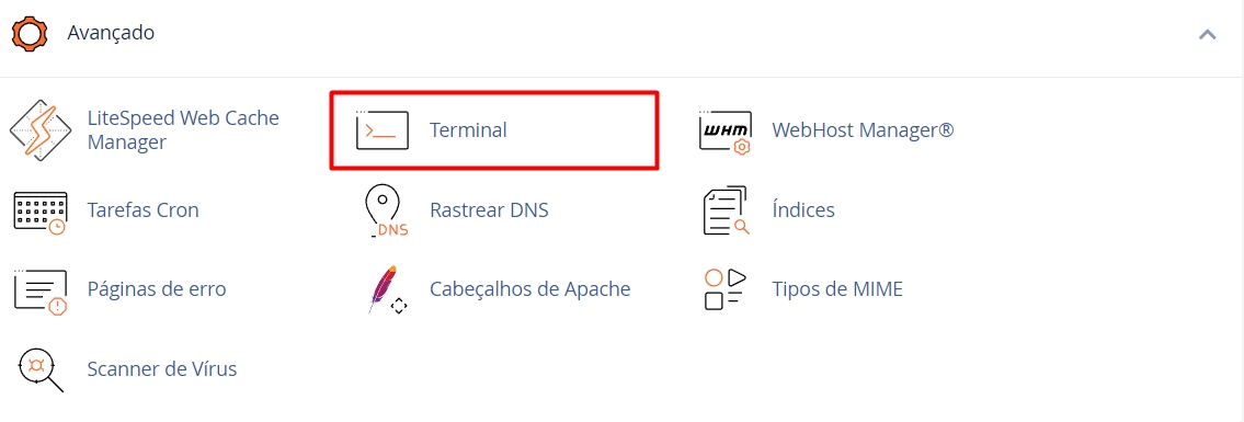 Terminal SSH no cPanel