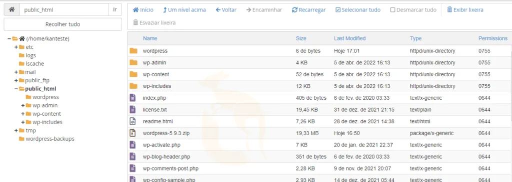 Diretorio public_html